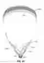 Fig. 20 - Headgear with covered edge