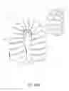 Fig. 83 - Respiratory gas humidification system