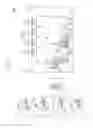 Fig. 17 - LIGHTING SYSTEM AND INFORMATION PRESENTATION METHOD