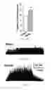 Fig. 08 - Systems and methods for cardiovascular conditioning