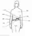 Fig. 01 - Non-invasive device and method for treating gastro esophageal reflux disease (GERD) and the digestive system