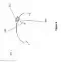 Fig. 08 - Non-invasive device and method for treating gastro esophageal reflux disease (GERD) and the digestive system