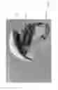 Fig. 03 - Head-mountable adjustable devices for generating magnetic fields