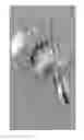Fig. 04 - Head-mountable adjustable devices for generating magnetic fields