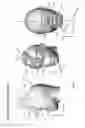 Fig. 05 - Head-mountable adjustable devices for generating magnetic fields