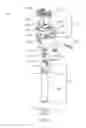 Fig. 09 - Bi-directional device and methods of its use