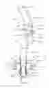 Fig. 13 - Bi-directional device and methods of its use