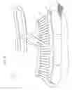 Fig. 06 - Leg-powered treadmill