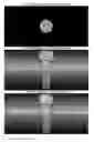 Fig. 96 - Incremental Nordic Leg Curl Developer and Glute-Ham Developer Combination