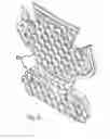 Fig. 20 - SHIN PROTECTION ELEMENT AND PROTECTION ASSEMBLY FOR CYCLISTS