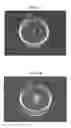 Fig. 06 - PHOTO-RESPONSIVE MACRO- AND MICRO- LIQUID MARBLES