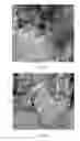 Fig. 07 - Material for removing contaminants from water