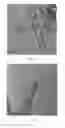 Fig. 08 - Material for removing contaminants from water