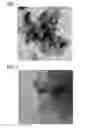 Fig. 02 - Oxidation catalysts