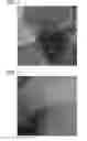 Fig. 03 - Oxidation catalysts