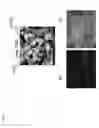 Fig. 08 - Process for manufacture of NOstorage materials