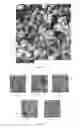 Fig. 06 - Photocatalyst material and method for producing same
