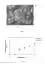 Fig. 07 - Photocatalyst material and method for producing same