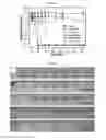 Fig. 07 - Microfluidic devices having top and bottom layers of graphene and a middle layer with a patterned cavity