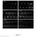 Fig. 15 - Trap arrays for robust microfluidic sample digitization