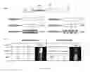Fig. 18 - Trap arrays for robust microfluidic sample digitization