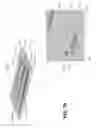 Fig. 09 - Microfluidic device and system using acoustic manipulation