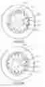 Fig. 27 - Showerhead with engine release assembly