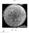 Fig. 02 - Methods for nanofunctionalization of powders, and nanofunctionalized materials produced therefrom