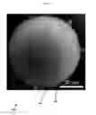 Fig. 03 - Methods for nanofunctionalization of powders, and nanofunctionalized materials produced therefrom