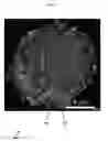 Fig. 04 - Methods for nanofunctionalization of powders, and nanofunctionalized materials produced therefrom