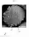 Fig. 05 - Methods for nanofunctionalization of powders, and nanofunctionalized materials produced therefrom