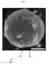 Fig. 06 - Methods for nanofunctionalization of powders, and nanofunctionalized materials produced therefrom