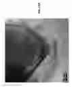 Fig. 11 - Core shell