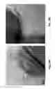 Fig. 12 - Core shell