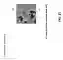 Fig. 17 - Core shell