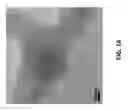 Fig. 18 - Core shell