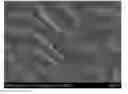 Fig. 01 - Additive manufacturing with nanofunctionalized precursors