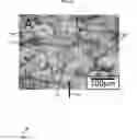 Fig. 04 - Additive manufacturing with nanofunctionalized precursors