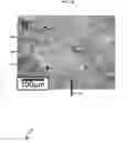 Fig. 05 - Additive manufacturing with nanofunctionalized precursors