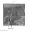 Fig. 06 - Additive manufacturing with nanofunctionalized precursors