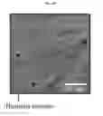 Fig. 07 - Additive manufacturing with nanofunctionalized precursors