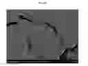 Fig. 09 - Additive manufacturing with nanofunctionalized precursors