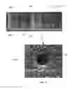 Fig. 08 - Additive manufacturing system, article, and method of manufacturing an article
