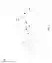 Fig. 02 - Print head interposers