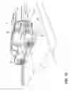 Fig. 11 - Scuff plate for cargo retention