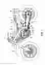 Fig. 02 - Body frame structure of motorcycle