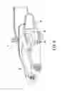 Fig. 07 - Swing arm