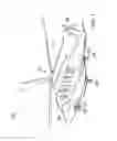 Fig. 02 - Rotorcraft fly-by-wire go-around mode