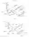 Fig. 10 - Rotatable thruster aircraft with separate lift thrusters