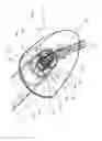 Fig. 04 - Lighting device and trunk element